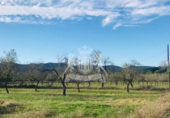 Non-developable land for sale on España, Sant Antoni de Portmany, ref: TR116788 photo