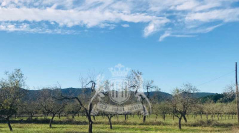 Balearic Islands - San Antonio Abad - 400m2