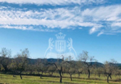 Non-developable land for sale on España, Sant Antoni de Portmany, ref: TR116788 photo