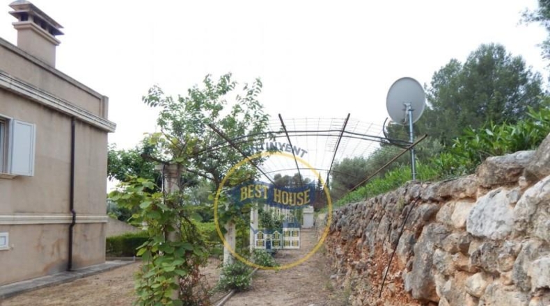 Alicante - Muro de Alcoy - 6000m2