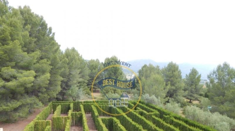 Alicante - Muro de Alcoy - 6000m2