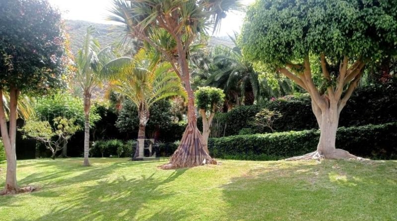 Santa Cruz de Tenerife - La Orotava - 2500m2