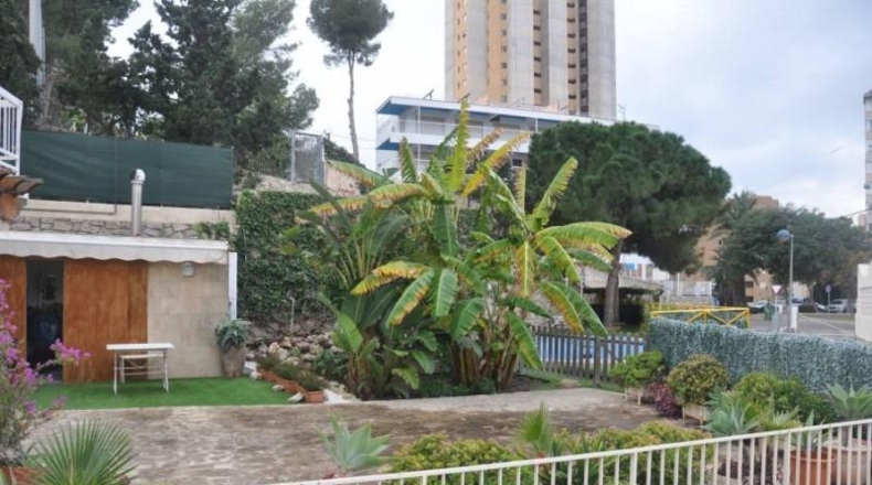 Alicante - Benidorm - 550m2