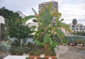 Xalet independent amb terreny en venda a la España, Benidorm, ref.: TR134481 foto