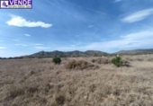Detached villa with land for sale on España, Sax, ref: TR144198 photo