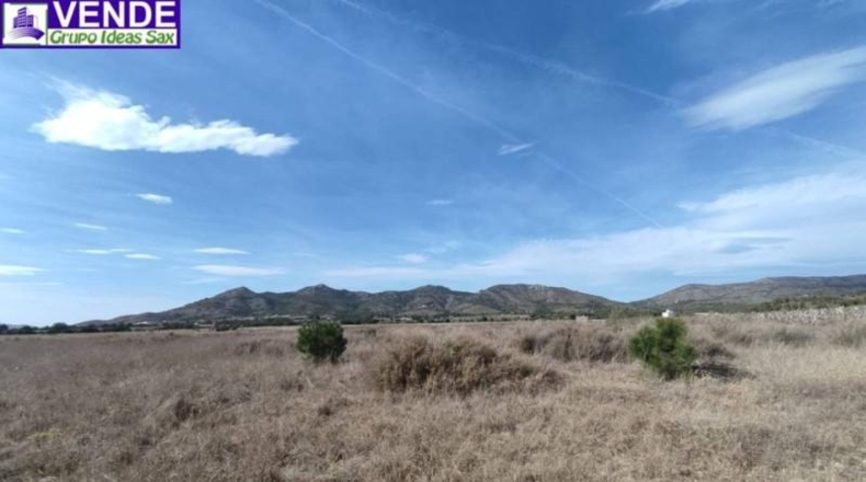 Alicante - Sax - 325000m2