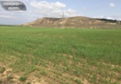 Non-developable land for sale on España, Torres de la Alameda, ref: TR327837 photo