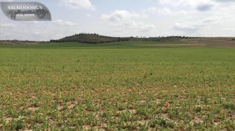 Community of Madrid - Torres de la Alameda - 256822m2