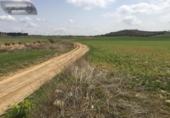 Non-developable land for sale on España, Torres de la Alameda, ref: TR327837 photo