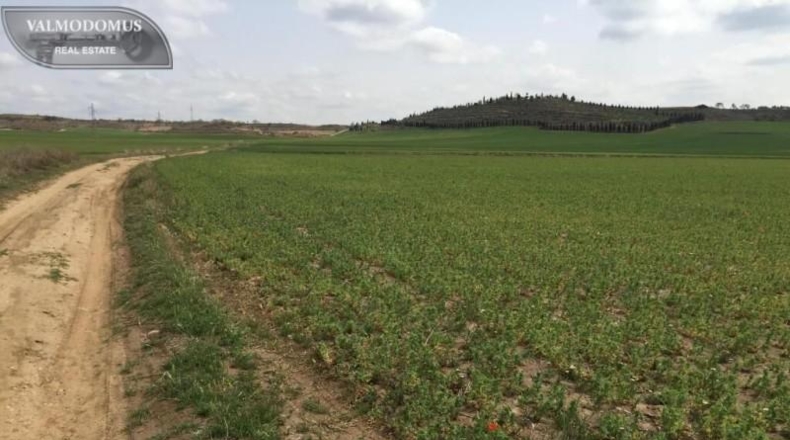Community of Madrid - Torres de la Alameda - 256822m2