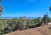 Non-developable land for sale on España, Calpe, ref: TR373596 photo