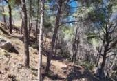 Non-developable land for sale on España, Calpe, ref: TR373596 photo