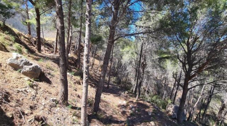 Alicante - Calpe - 5150m2