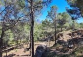 Non-developable land for sale on España, Calpe, ref: TR373596 photo