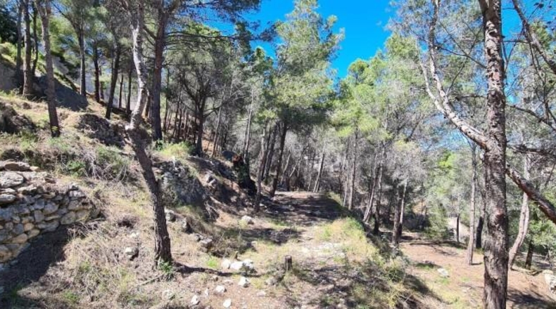 Alicante - Calpe - 5150m2