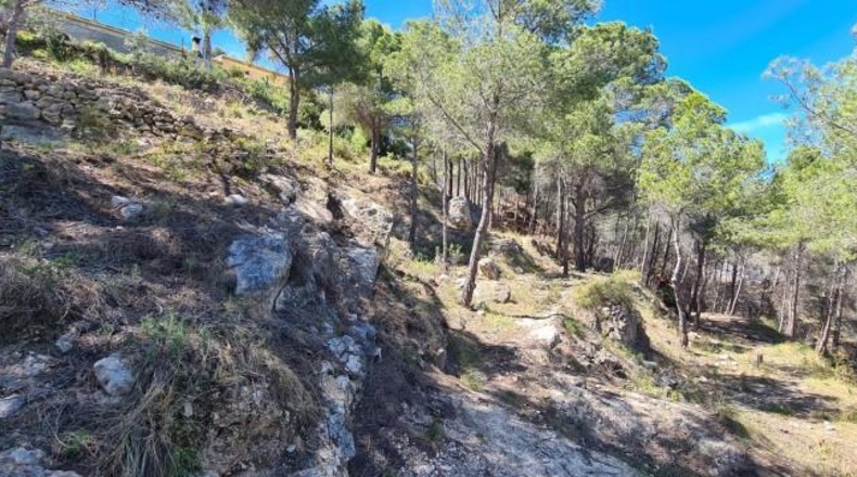 Alicante - Calpe - 5150m2