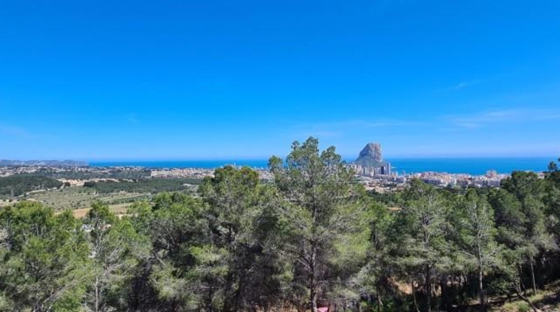 Alicante - Calpe - 5150m2