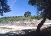 Parcel·la urbanitzable en venda a la España, Moratalla, ref.: TR366872 foto