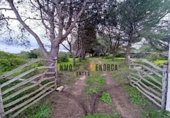 Casa de camp amb terreny en venda a la España, Ciutadella de Menorca, ref.: TR172561 foto