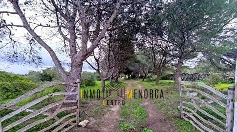 Balearic Islands - Ciudadela - 80000m2