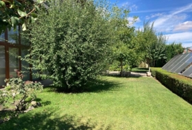 Foto 13