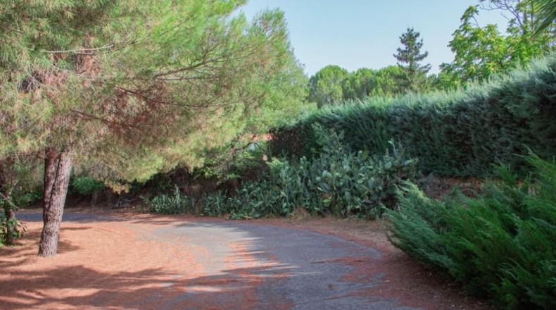 Cáceres - Plasencia - 120000m2