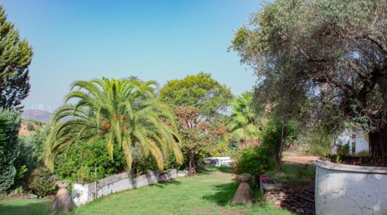 Cáceres - Plasencia - 120000m2