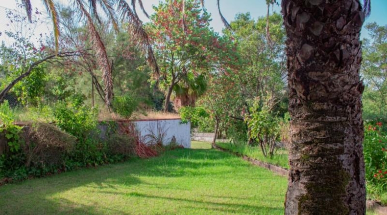 Cáceres - Plasencia - 120000m2