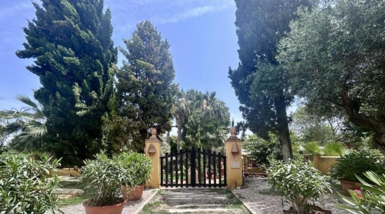 Alicante - Alicante - 2000m2