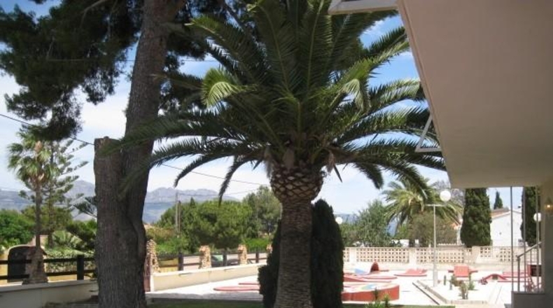 Alicante - Alfaz del Pi - 2700m2