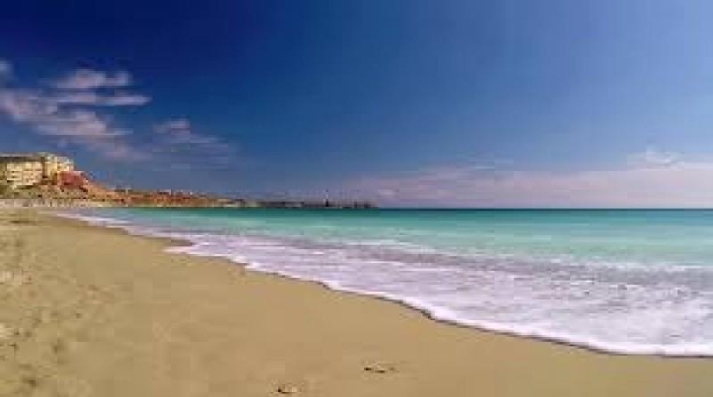Alicante - Orihuela - 3300m2
