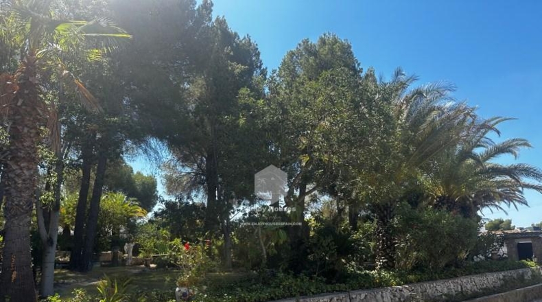 Alicante - Jávea - 3909m2