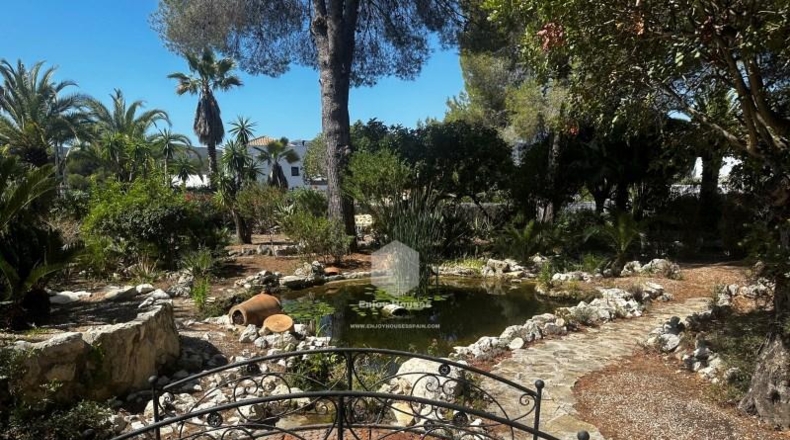 Alicante - Jávea - 3909m2
