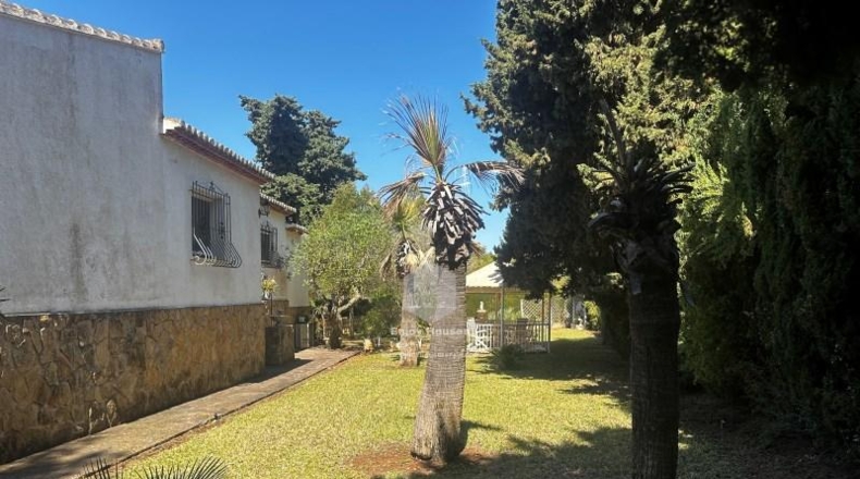 Alicante - Jávea - 3909m2