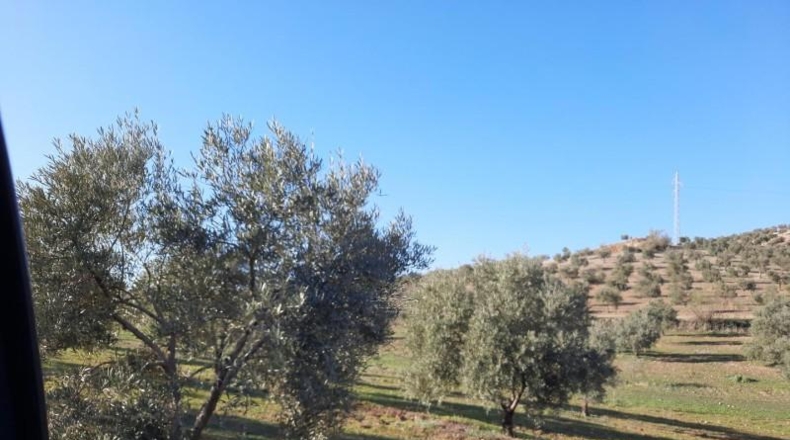 Córdoba - Lucena - 714000m2