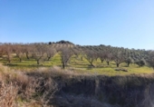 Terreny no urbanitzable en venda a la España, Lucena, ref.: TR194568 foto