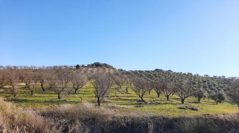 Córdoba - Lucena - 714000m2
