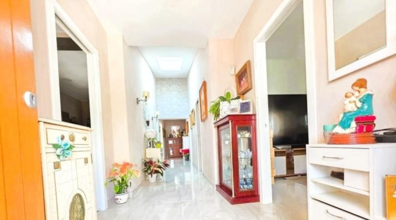 Málaga - Málaga - 800m2