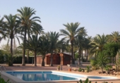 Xalet independent amb terreny en venda a la España, Elx, ref.: TR345109 foto