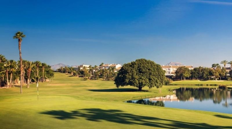 Alicante - Alicante - 1000m2
