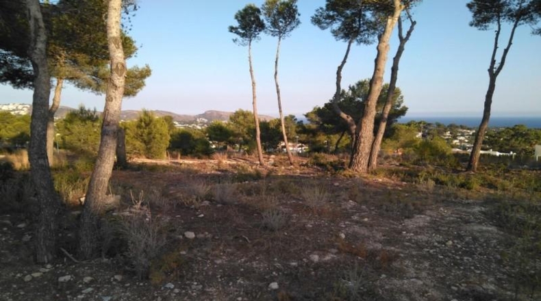 Alicante - Teulada - 826m2