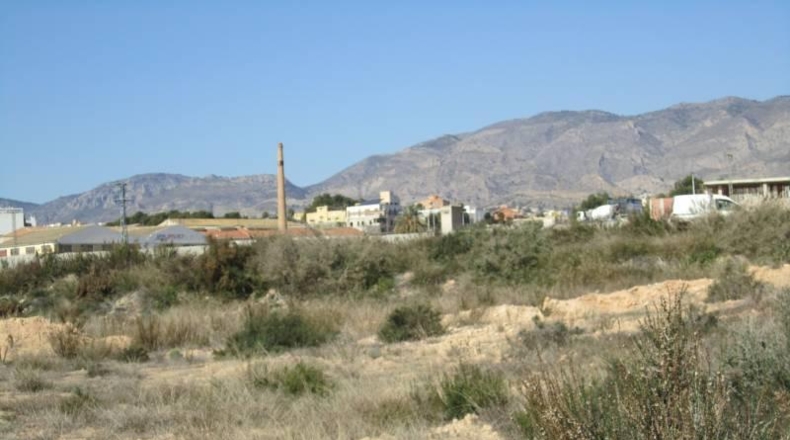 Alicante - Crevillente - 7000m2