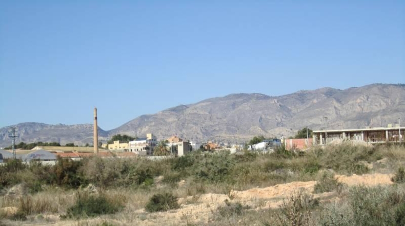 Alicante - Crevillente - 7000m2