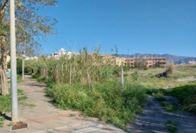 Foto 19