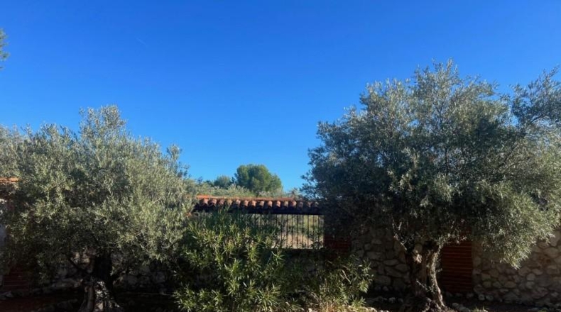 Comunidad de Madrid - Chinchón - 33115m2
