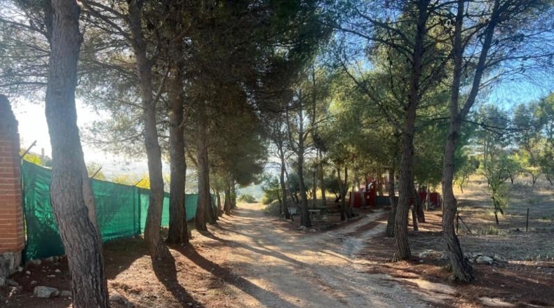 Comunidad de Madrid - Chinchón - 33115m2
