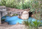Xalet independent amb terreny en venda a la España, Manilva, ref.: TR152446 foto
