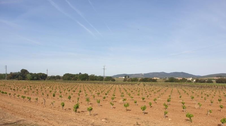 Barcelona - Sant Martí Sarroca - 32980m2