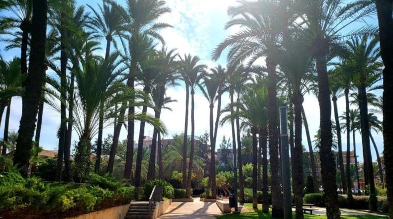 Alicante - Santa Pola - 7000m2