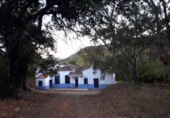 Casa de camp amb terreny en venda a la España, Casares, ref.: TR154604 foto